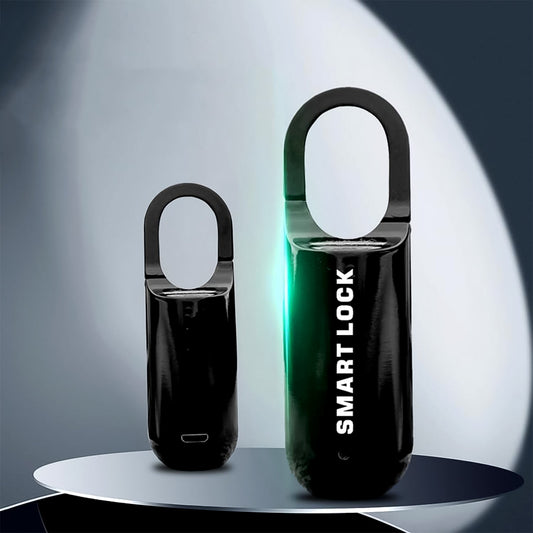 Compact Safelix fingerprint padlock displayed securely locked.