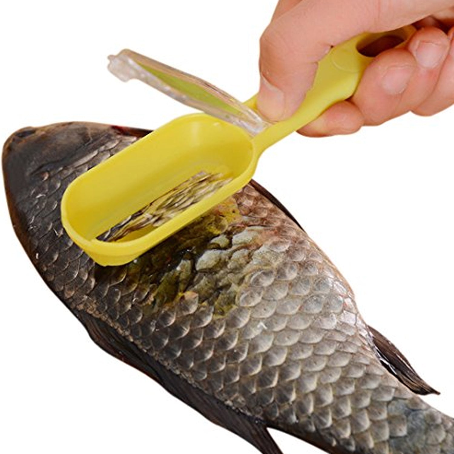 Close-up of the 3-in-1 fish scale scraper with protective cover.