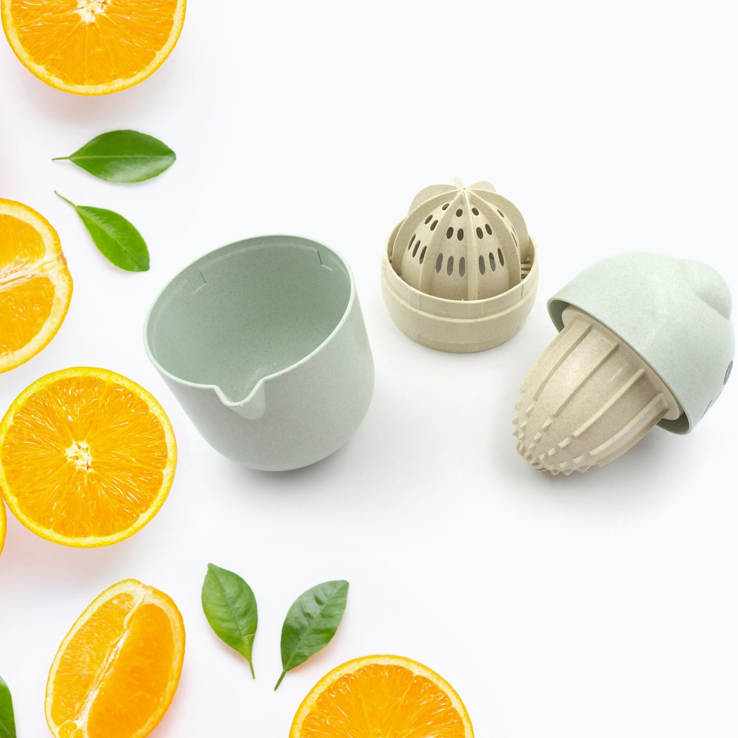 Food-grade plastic juicer ready for making fresh citrus beverages.