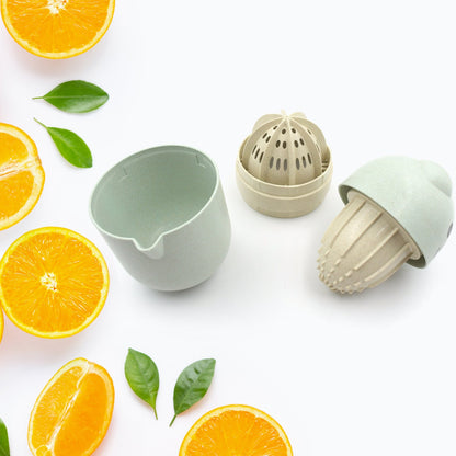 Food-grade plastic juicer ready for making fresh citrus beverages.