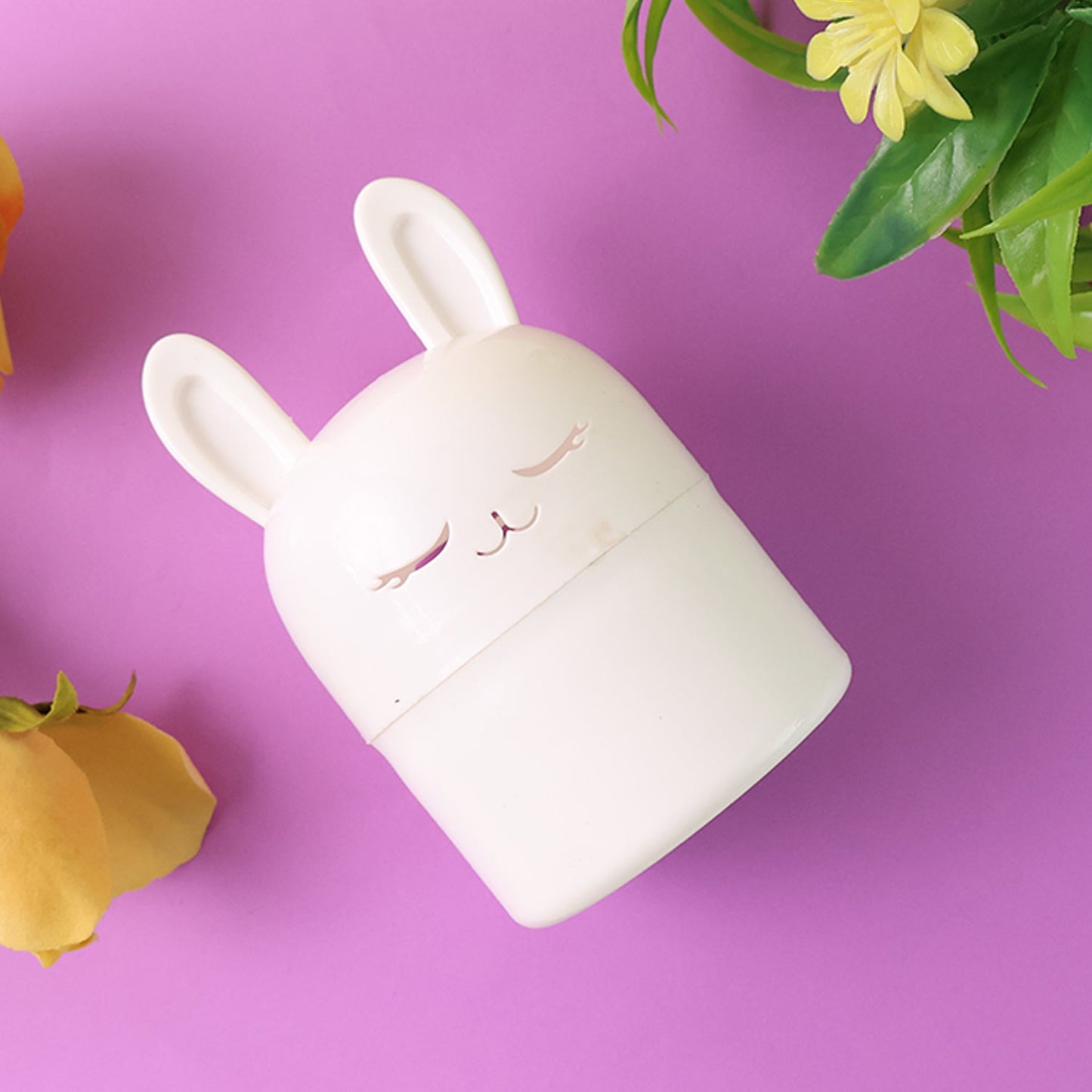Hop Storage Bunny Box