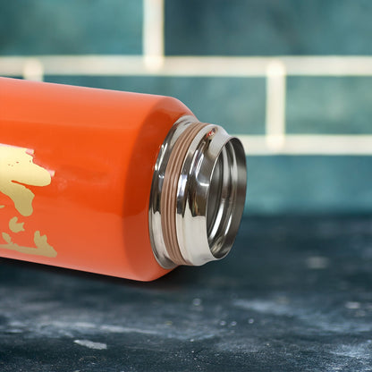 Stainless Steel Insulated Vacuum Flask Bottle (600ml) Approx
