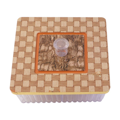 Close-up of the secure airtight lid on a plastic dry fruit box