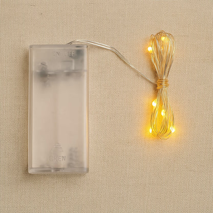 Copper wire string fairy lights with warm white 30 LED bulbs glowing beautifully.