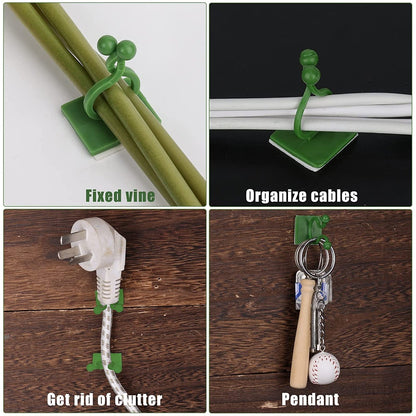 Vine plant fixing clips securing climbing plants on wall