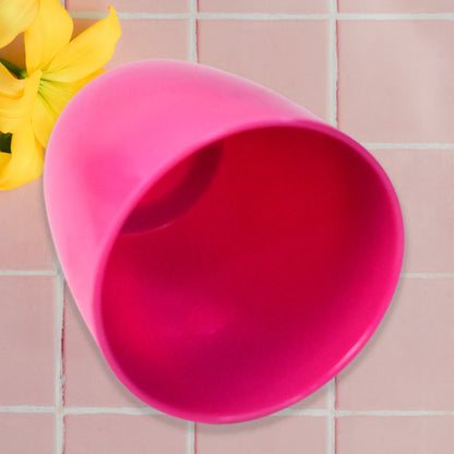 Plastic Flower Valencia (Pot) Home and Outdoor (1 Pc/Mix Colour)