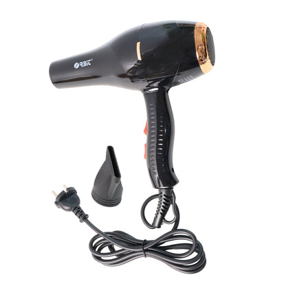 Orbit Professional Electric Hair Dryer with Concentrator Nozzle (1 Pc)