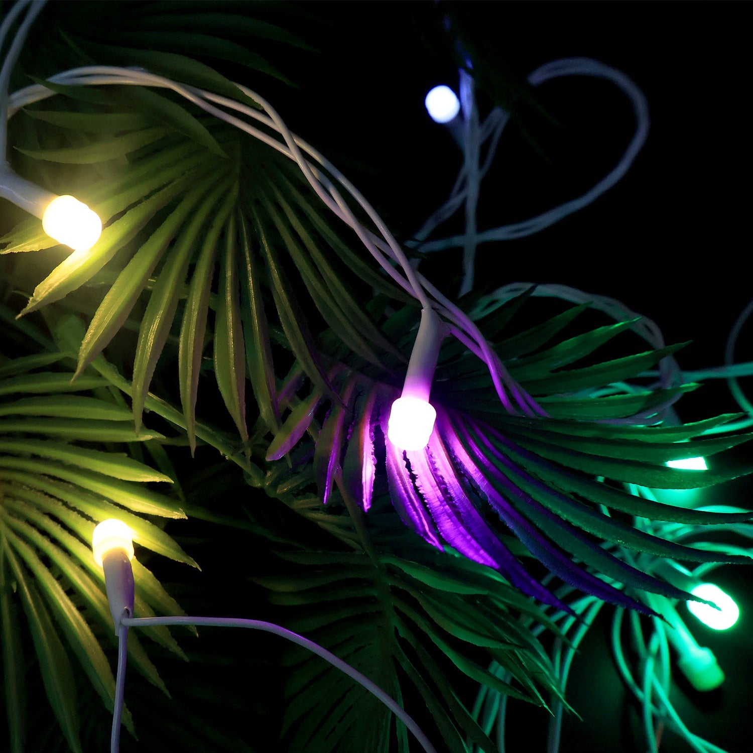 Bright multi-color LED fairy string light illuminating space