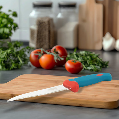 Detailed closeup of the stainless steel paring knife blade