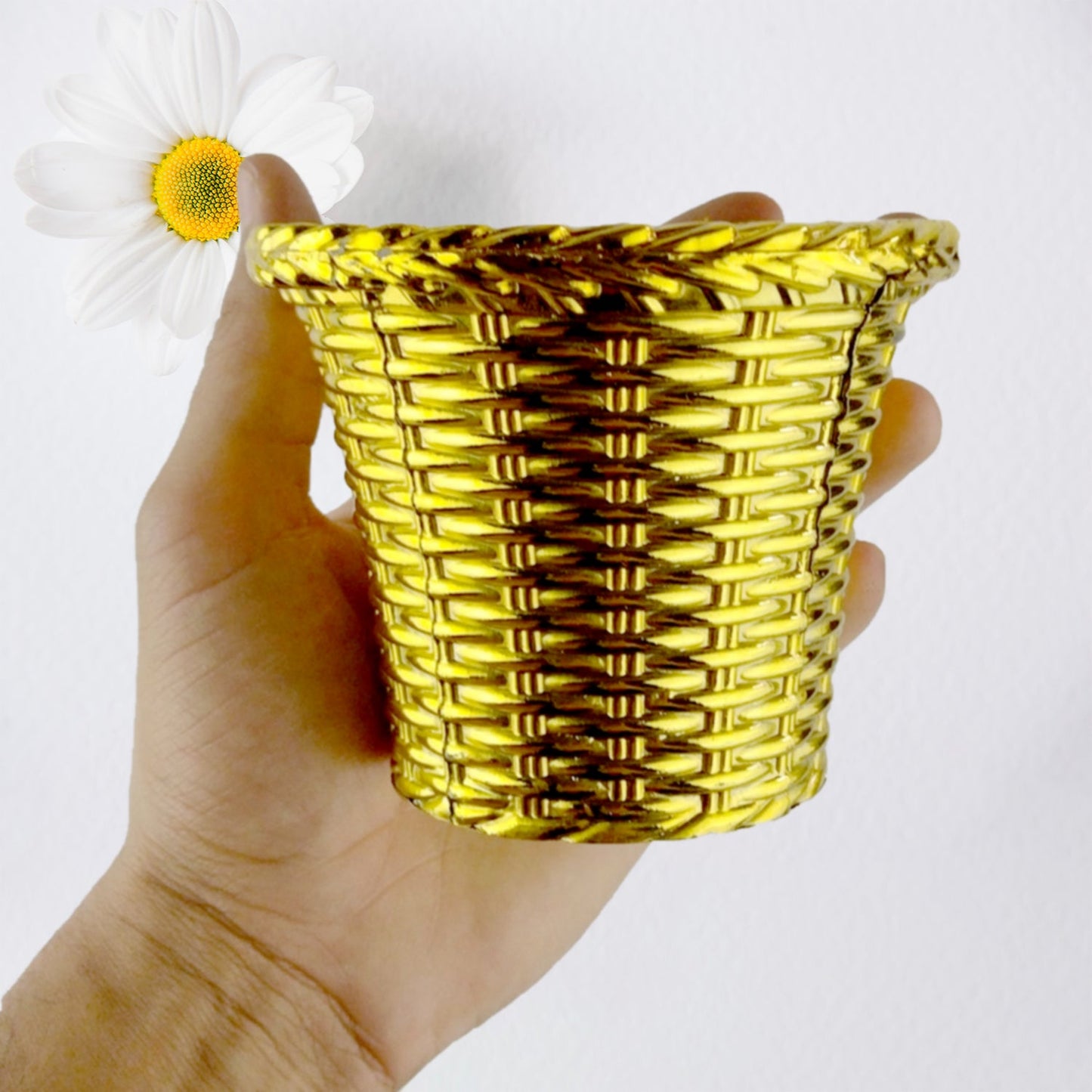Valencia plastic flower pot shown in outdoor garden setting